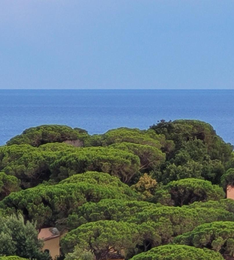 La Garonnette-Plage Villa Palm' Issambres 6-7 Personnes, Clim, Avec Piscine, Jardin Et Parking Prives מראה חיצוני תמונה