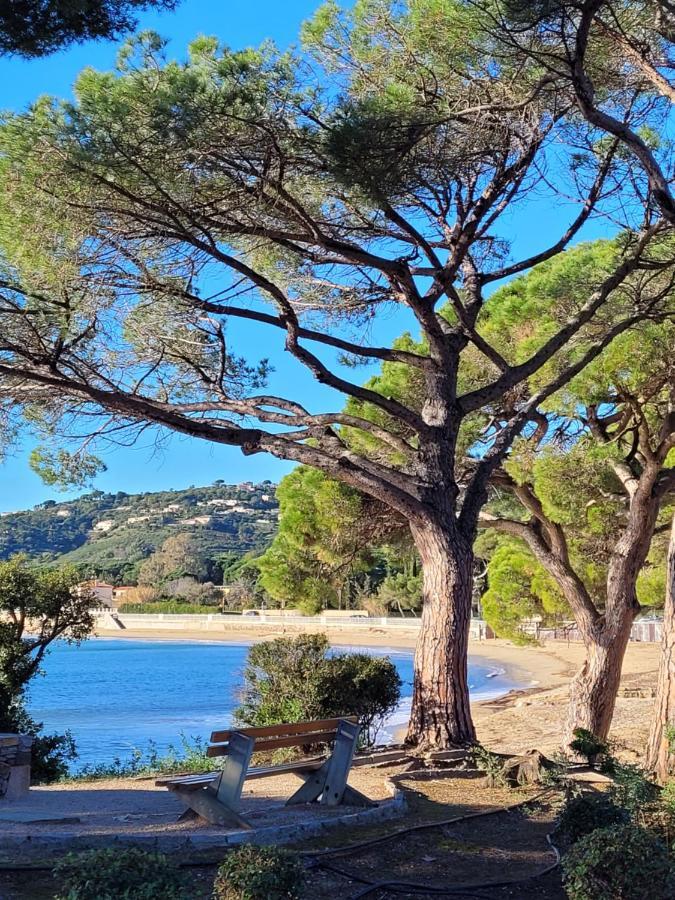 La Garonnette-Plage Villa Palm' Issambres 6-7 Personnes, Clim, Avec Piscine, Jardin Et Parking Prives מראה חיצוני תמונה