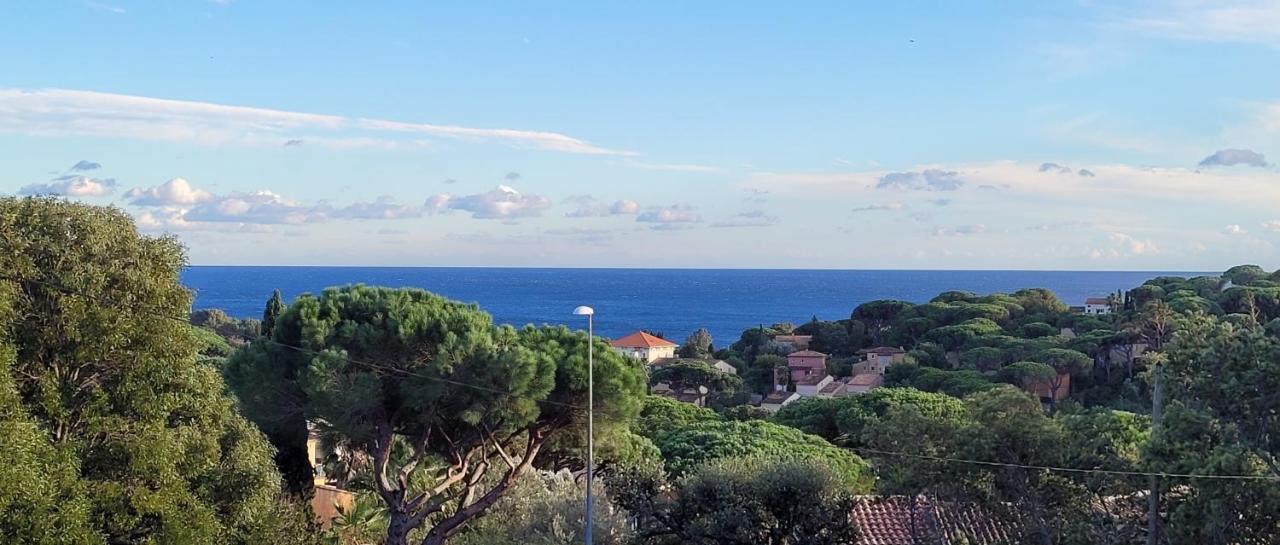 La Garonnette-Plage Villa Palm' Issambres 6-7 Personnes, Clim, Avec Piscine, Jardin Et Parking Prives מראה חיצוני תמונה