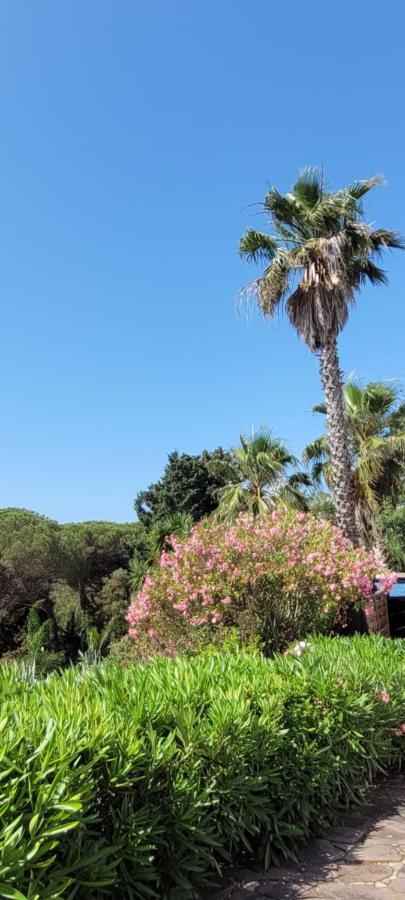 La Garonnette-Plage Villa Palm' Issambres 6-7 Personnes, Clim, Avec Piscine, Jardin Et Parking Prives מראה חיצוני תמונה