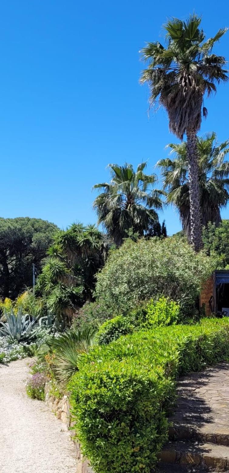 La Garonnette-Plage Villa Palm' Issambres 6-7 Personnes, Clim, Avec Piscine, Jardin Et Parking Prives מראה חיצוני תמונה
